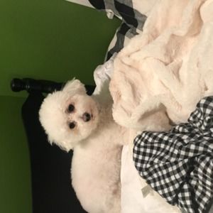 Meet your Posher, Sue